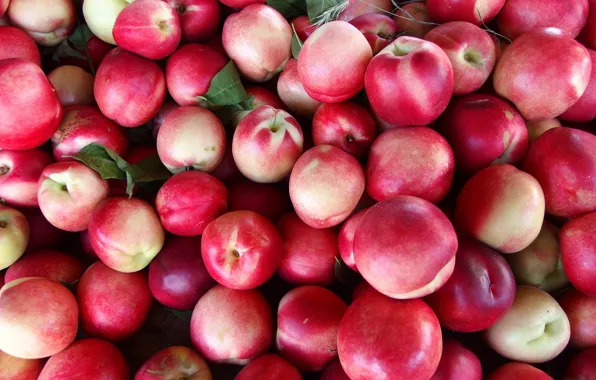 Harvest, red, pink, fruit, peaches, a lot, nectarines