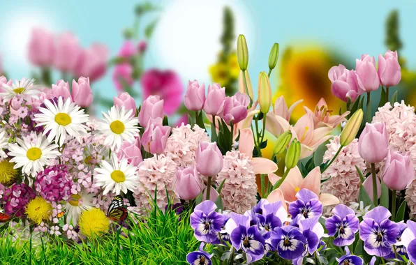 Graphics, flowers, tulipany