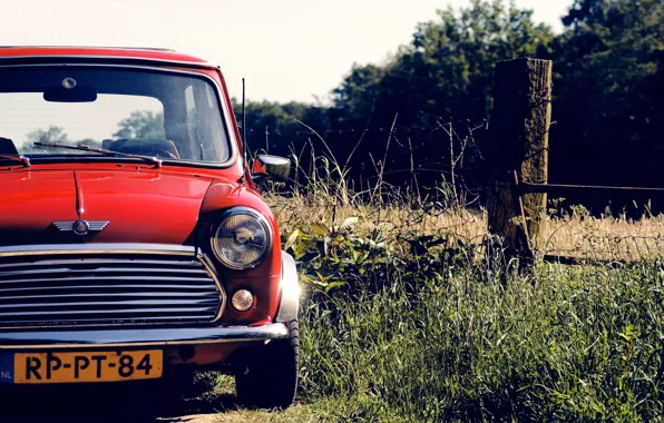 Red, Auto, Mini, Grass, Day, Lights, Mini Cooper, Mini Cooper