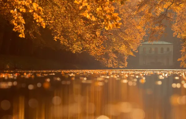 Autumn, leaves, Park, water surface