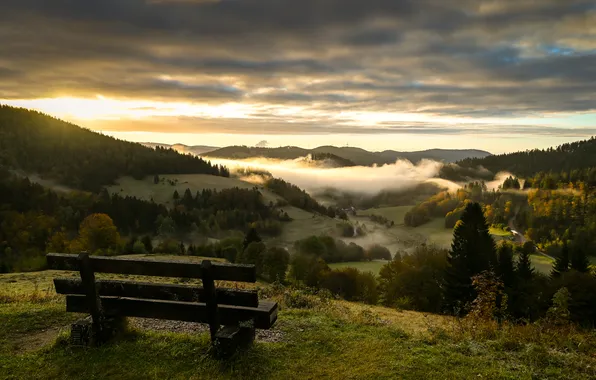 Sunset, fog, bench