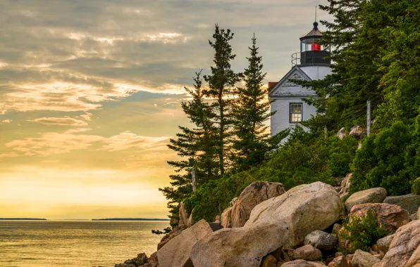 Picture sea, trees, stones, coast, lighthouse, USA, Acadia National Park, Bass Harbor
