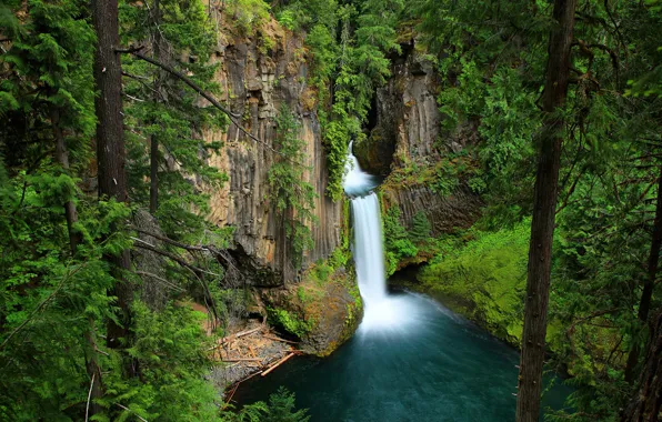 Greens, forest, trees, rock, stones, waterfall, moss, USA