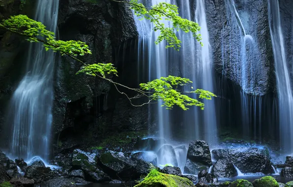 Branches, stones, waterfall, Japan, Japan, Tatsuzawa Fudo Falls