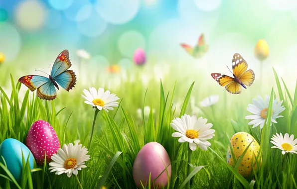 Picture flowers, eggs, spring, colorful, Easter, happy, flowers, spring
