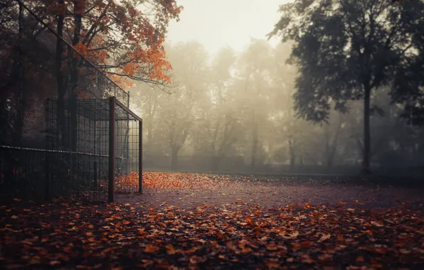 Picture autumn, sport, gate