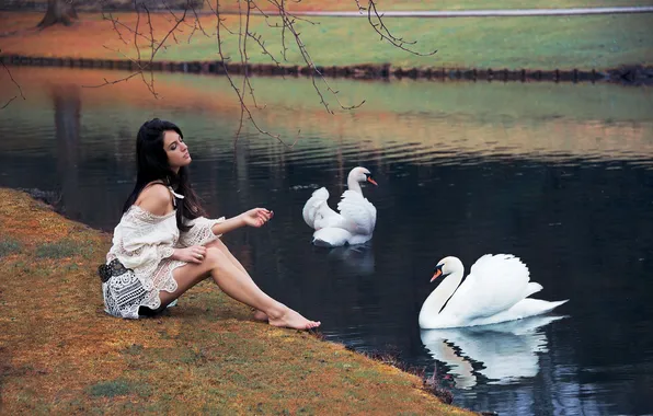Picture girl, pose, lake, sitting, swans
