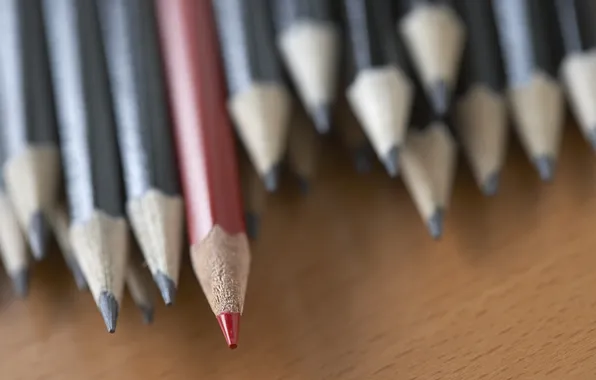 Macro, red, pencils