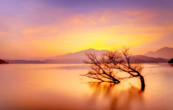 Picture the sky, clouds, mountains, lake, tree, glow