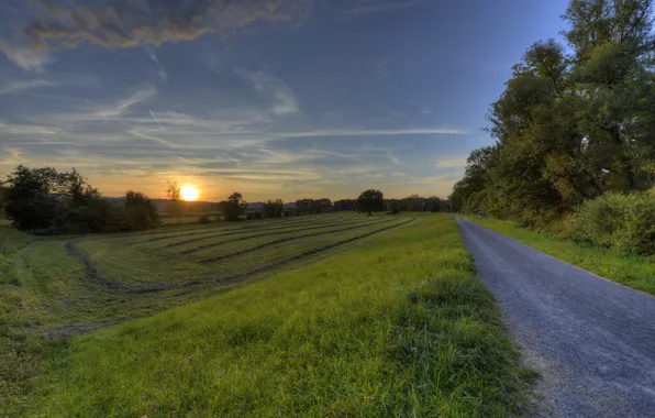Road, field, trees, sunset