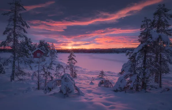 Wallpaper snow, Norway, Ringerike, Ole Henrik Skjelstad, Norway, sunset