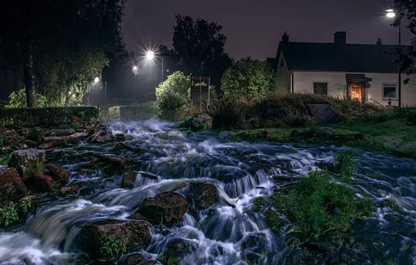 Grass, trees, night, lights, stream, stones, for, home