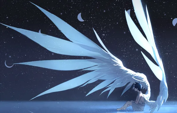 The sky, night, the moon, angel, guy, phase, Arsh