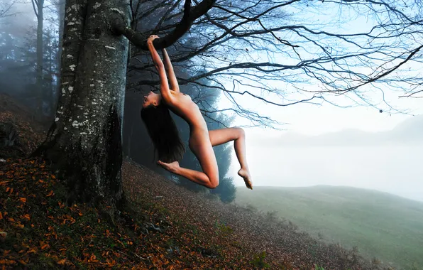 Nature, Girl, Fog, Trees, Model, Branch, Brown hair, Erotic