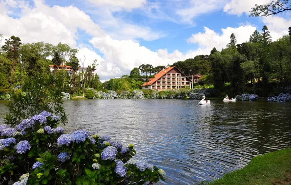 Picture Nature, Landscapes, Brazil, South American, Rio Grande Do Sul