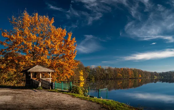 Picture autumn, forest, lake, pond, reflection, Czech Republic, gazebo, Czech Republic