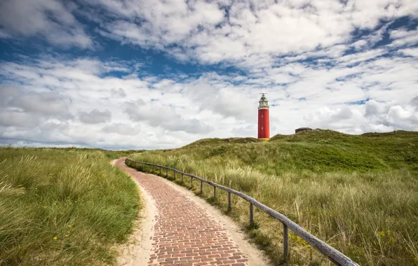 Grass, lighthouse, Holland, Netherlands, Eierland