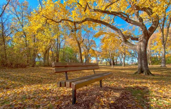 Autumn, leaves, trees, Park, bench