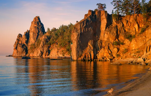 Picture trees, sunset, lake, rocks, bird, shore, pier, Baikal