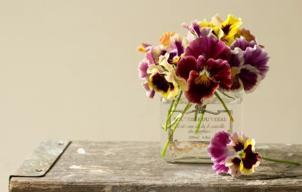 Picture flowers, Board, Pansy, a bunch, viola, bottle