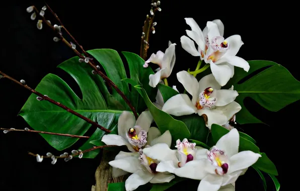 Picture leaves, Flowers, bouquet, orchids