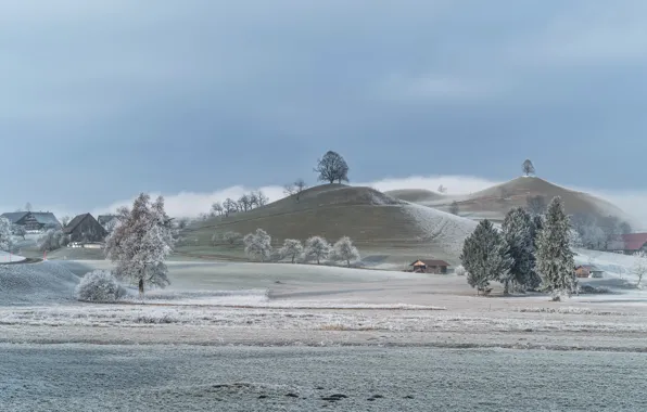 Winter, frost, morning