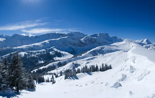 Picture snow, trees, Mountains, the rays of the sun