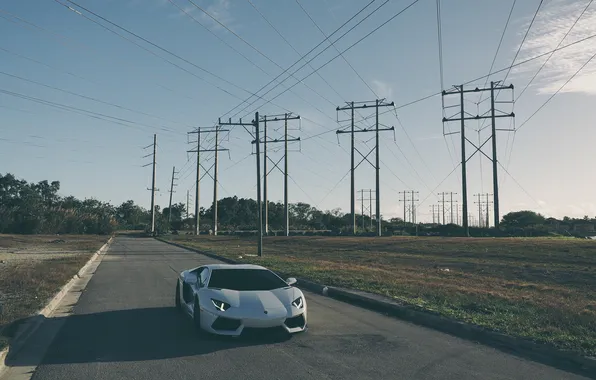 Picture road, white, shadow, white, lamborghini, road, aventador, lp700-4