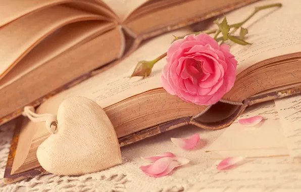 Flower, love, heart, rose, books, petals, love, rose