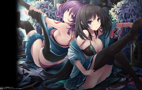 Chest, look, girls, panties, stockings, Schoolgirls, school uniform, sitting