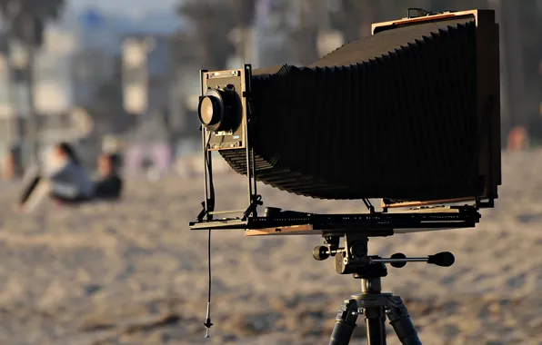 The camera, accordion, lens