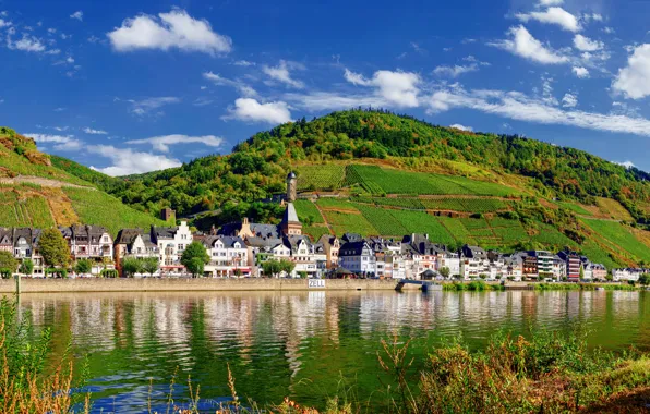 Field, the sky, the sun, clouds, trees, mountains, river, hills