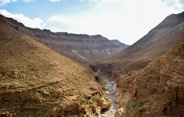 Nature, Yellow, Wild, Summer, River, Stone, Desert, Israel