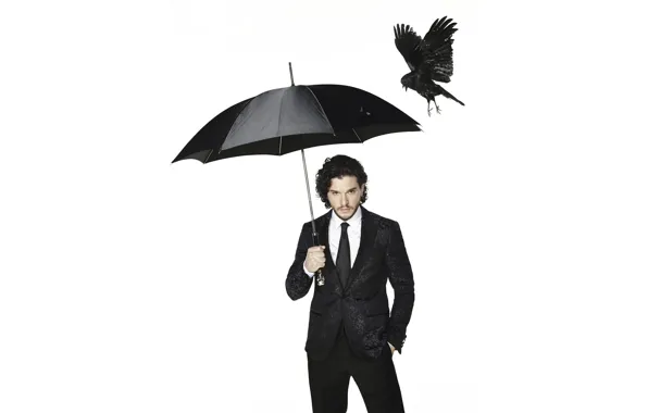 Picture bird, black, umbrella, photographer, costume, newspaper, actor, white background