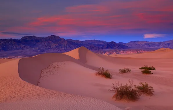 Picture sand, the sky, landscape, sunset, mountains, nature, rocks, desert