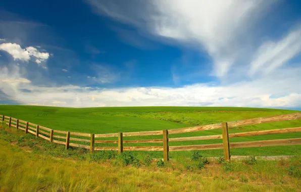 Picture field, the fence, Washington