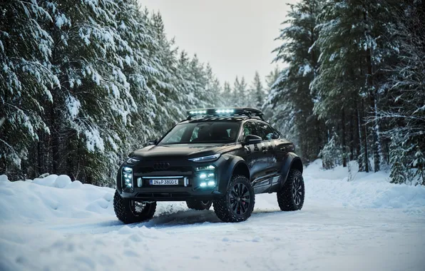 Concept, SUV, e-tron, offroad, SUV, 2025, Audi Q6 e-tron offroad concept, Audi Q6