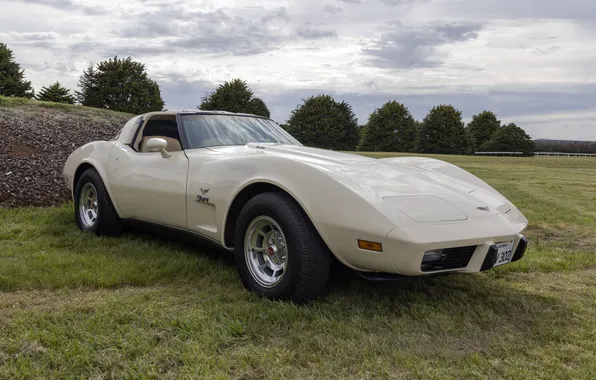 Picture Corvette, Chevrolet, the front, Stingray