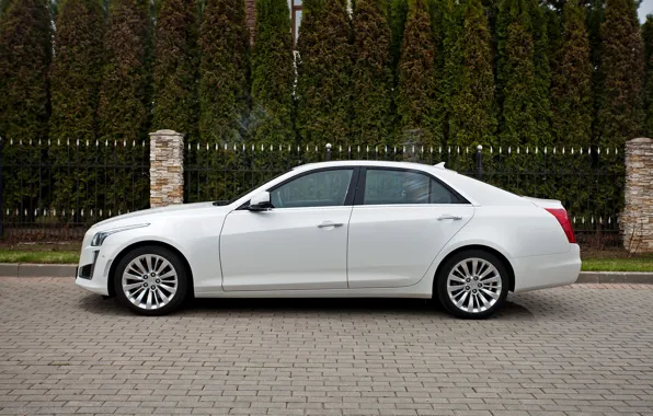 Cadillac, CTS, sedan