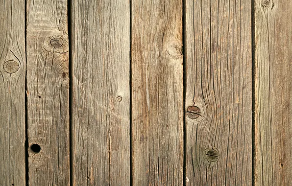 Tree, Board, structure