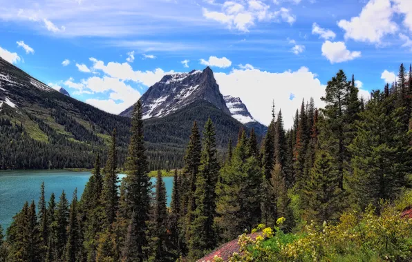 Picture forest, the sky, mountains, lake, Montana, USA, Glacier National Park