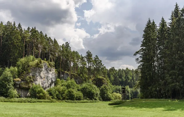 Picture Hollfeld, rocks, the sun, Bayern, forest