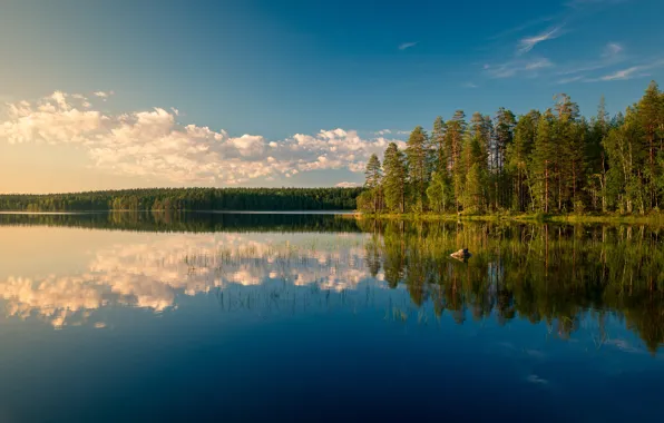 Forest, lake, reflection, Finland, Finland, Boiler Lake Lake, Lake Katelari