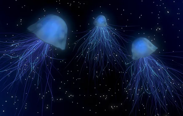 Picture sea, depth, jellyfish
