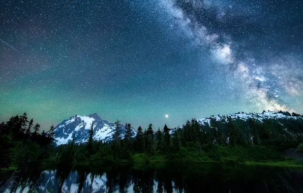 Forest, the sky, stars, snow, mountains, night, lake, shore
