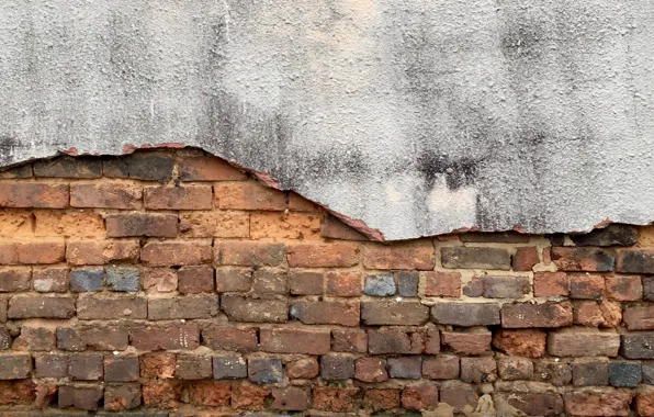 Background, wall, brick