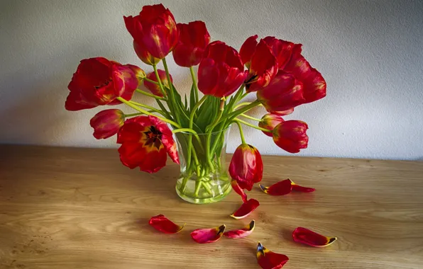 Picture bouquet, petals, tulips, vase