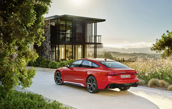 Audi, rear view, Sportback, RS 7, RS7, 2020