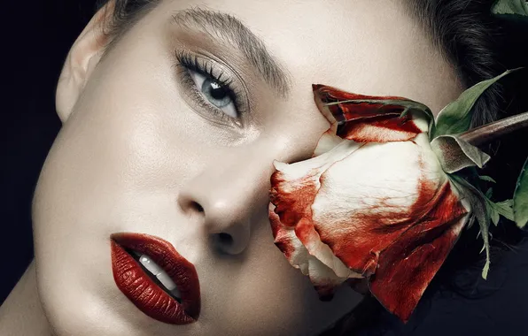 Look, girl, portrait, roses