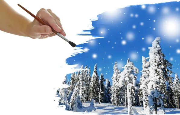 Winter, forest, snow, brush, tree